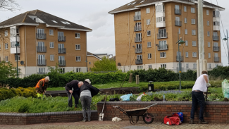 FORGE volunteers lift plants at Erith Riverside Gardens