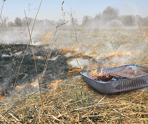 BBQ left in a park causing a fire