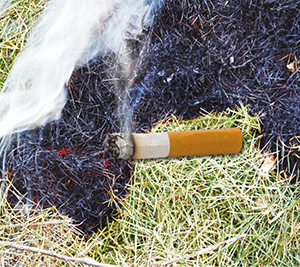 Discarded cigarette causing a grass fire