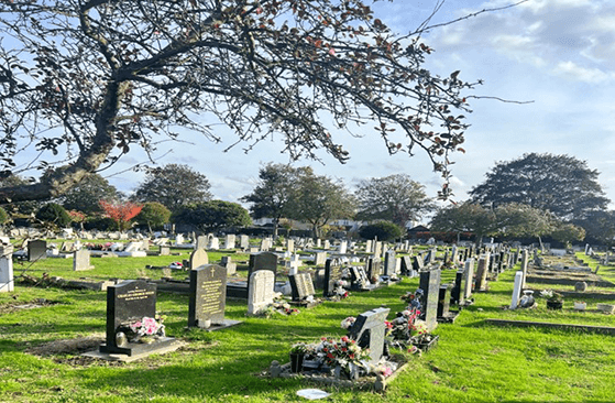 Erith Cemetery, Earthen Half Plot for Cremated Remains