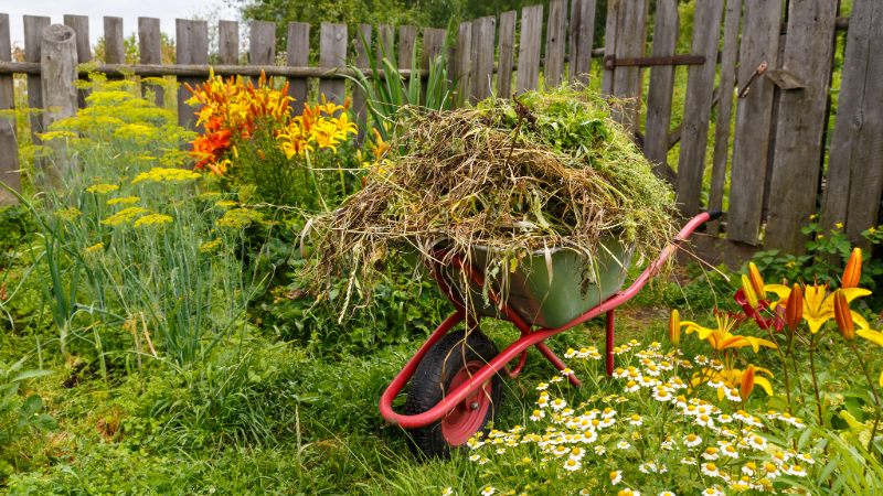 garden waste